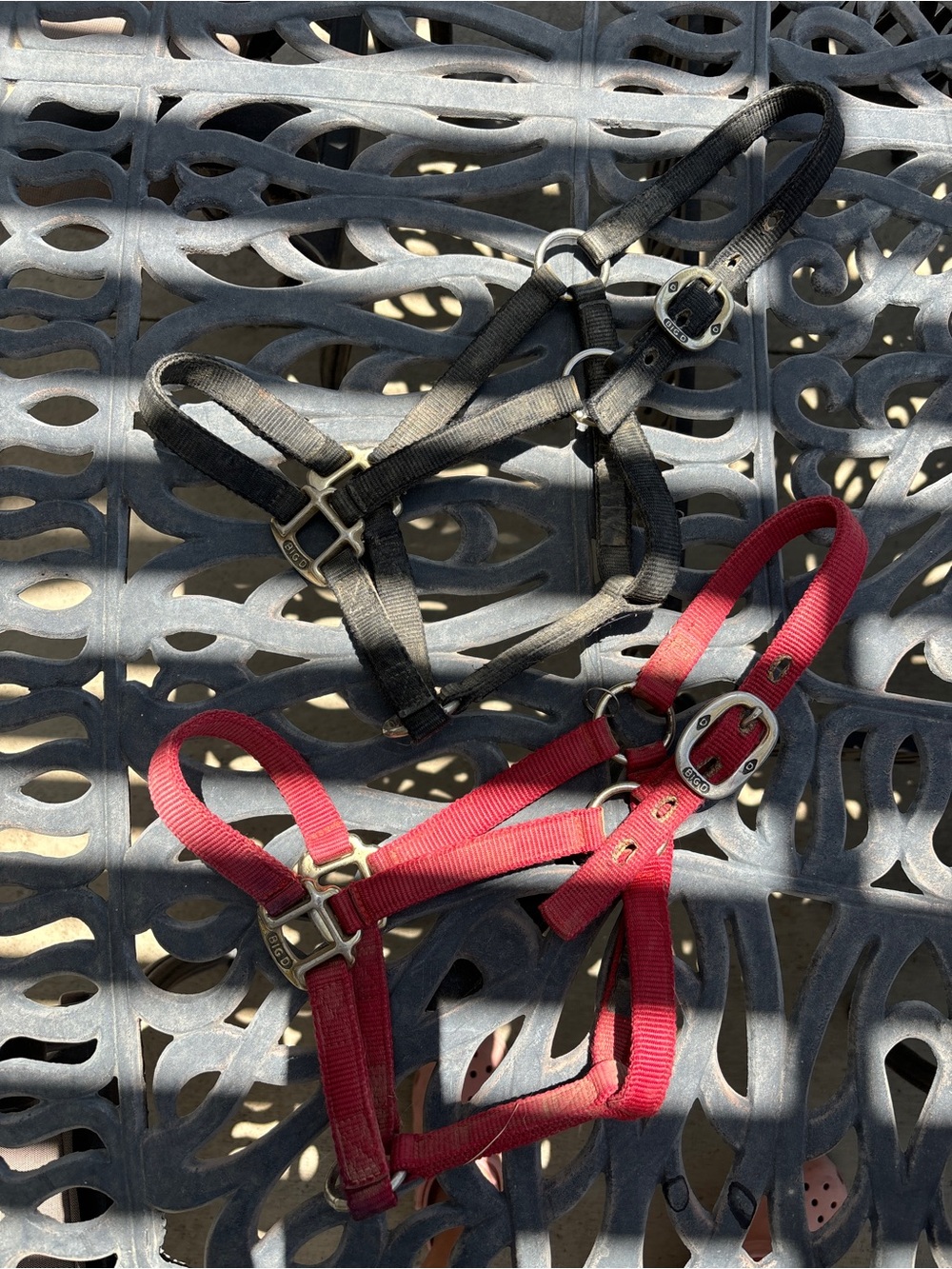 Pony size Nylon Halter